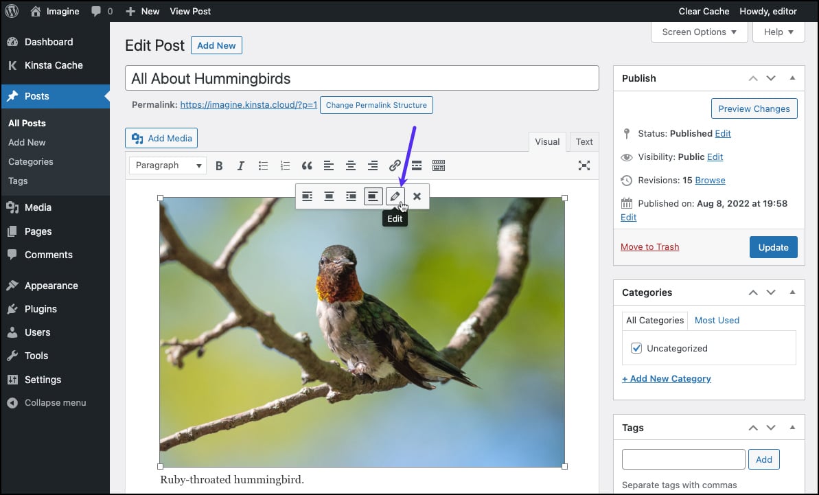 Screenshot: The image-controls toolbar in the WordPress Classic Editor.