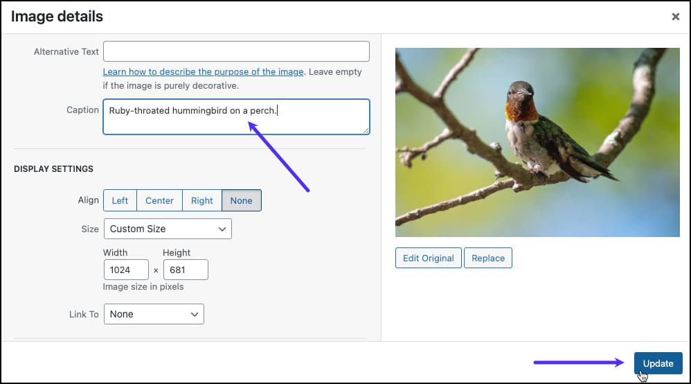 Screenshot: Editing existing caption text in the WordPress Image Details window.
