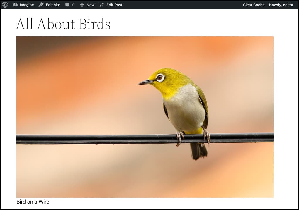 Screenshot: A featured image displayed with a caption.