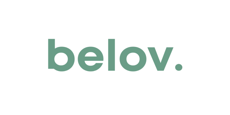 Kinsta Agency Partner: Belov Digital Agency