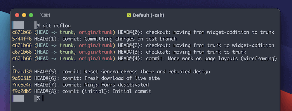Ein Teil des Terminal-Fensters unter macOS zeigt den Benutzer, der einen 