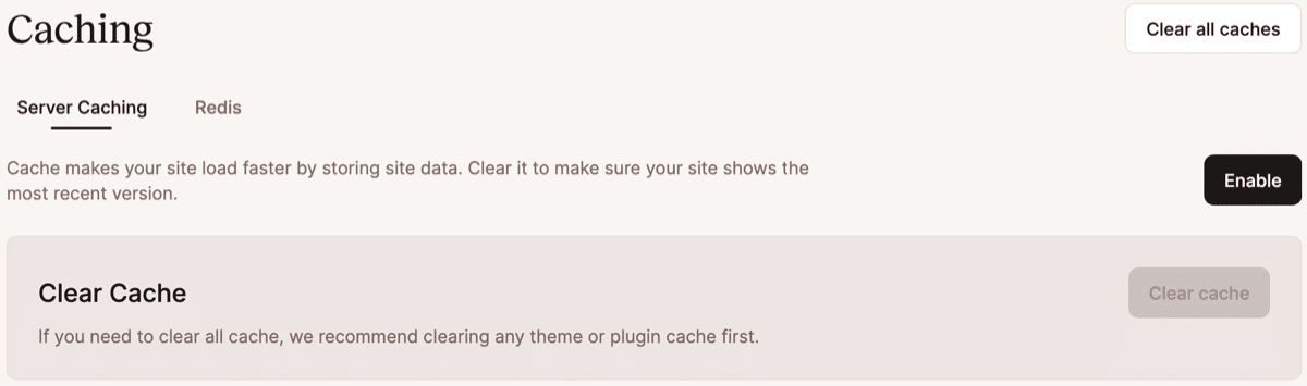 Captura de tela mostrando os detalhes do cache de servidor de um ambiente no painel MyKinsta.