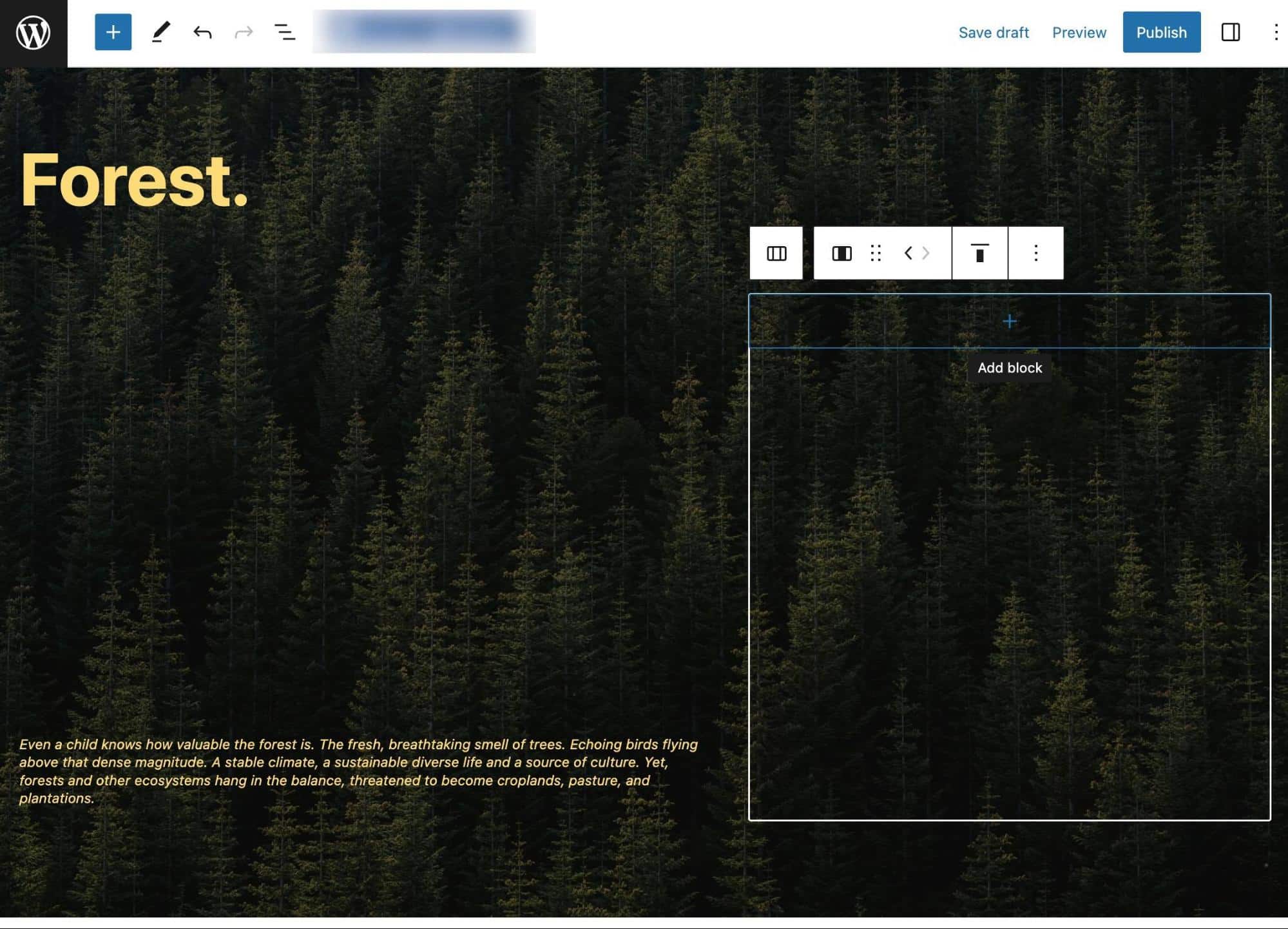 Le backend Gutenberg avec ses blocs et ses arrière-plans en plein écran.