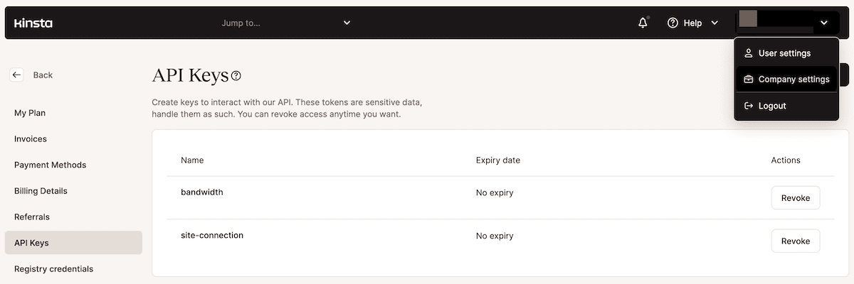 The API Keys management screen within the MyKinsta dashboard. The screen has a white background with black text, with a left and sidebar and a black toolbar. A table lists two API keys named