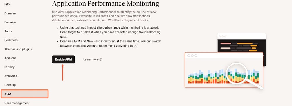 Capture d'écran montrant l'interface de suivi des performances de l'application dans MyKinsta.