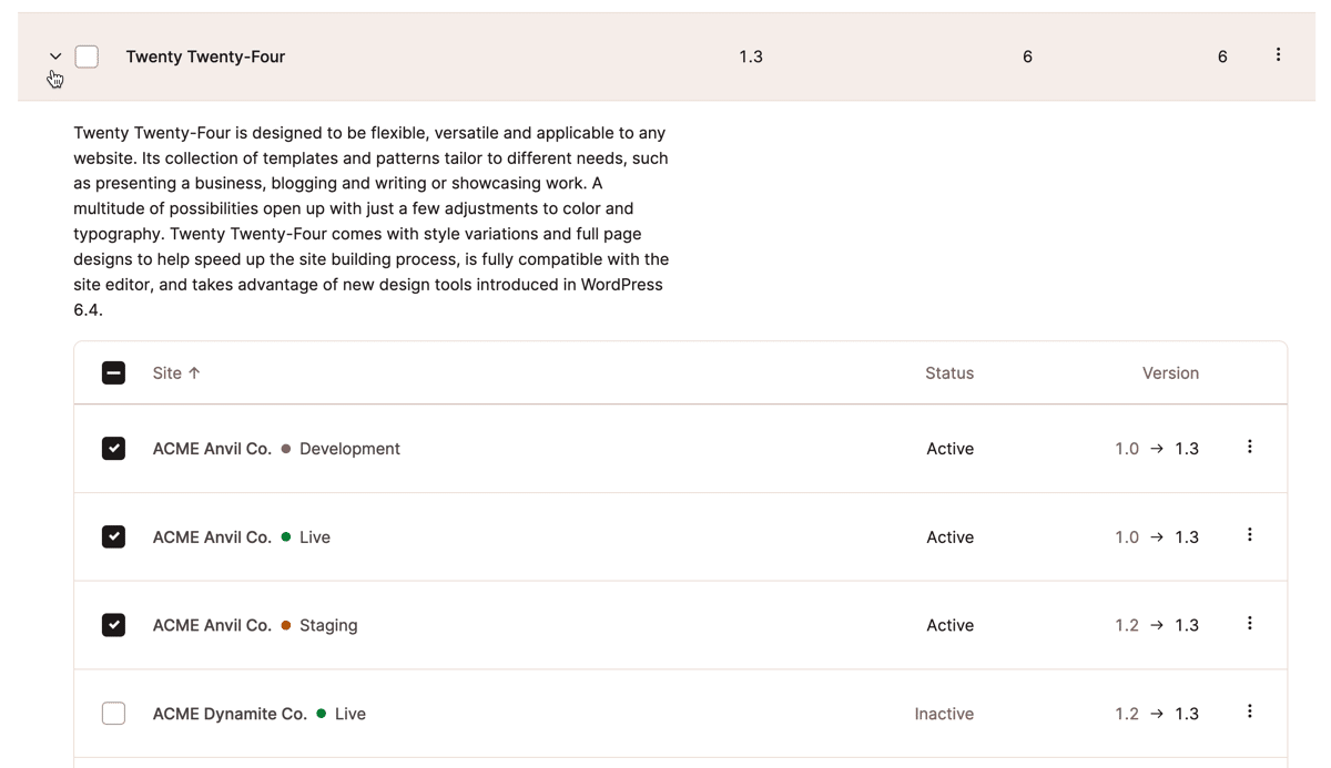 Screenshot, der eine erweiterte Ansicht des WordPress-Theme-Verwaltungsdialogs in MyKinsta zeigt.