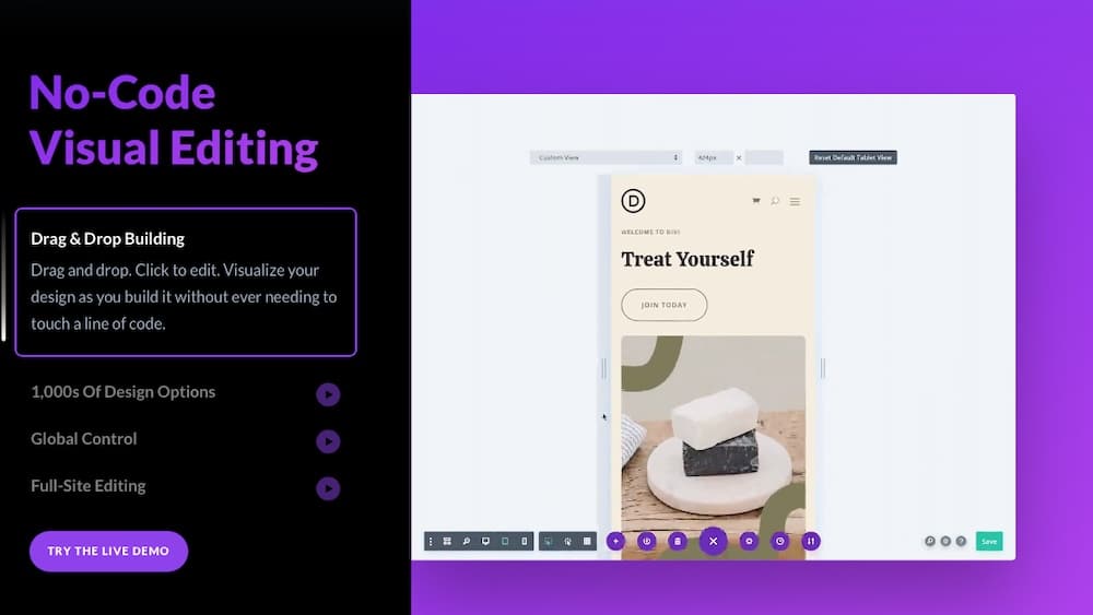 A screenshot of the official Divi website.