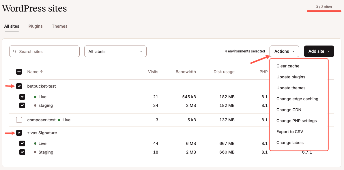Kinsta Bulk Actions Tool