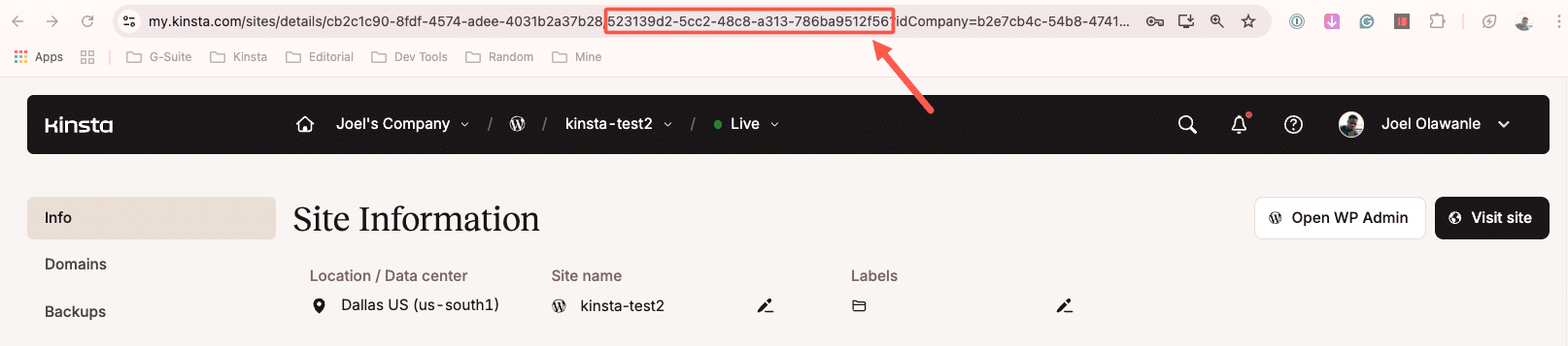Get the site's environment ID manually