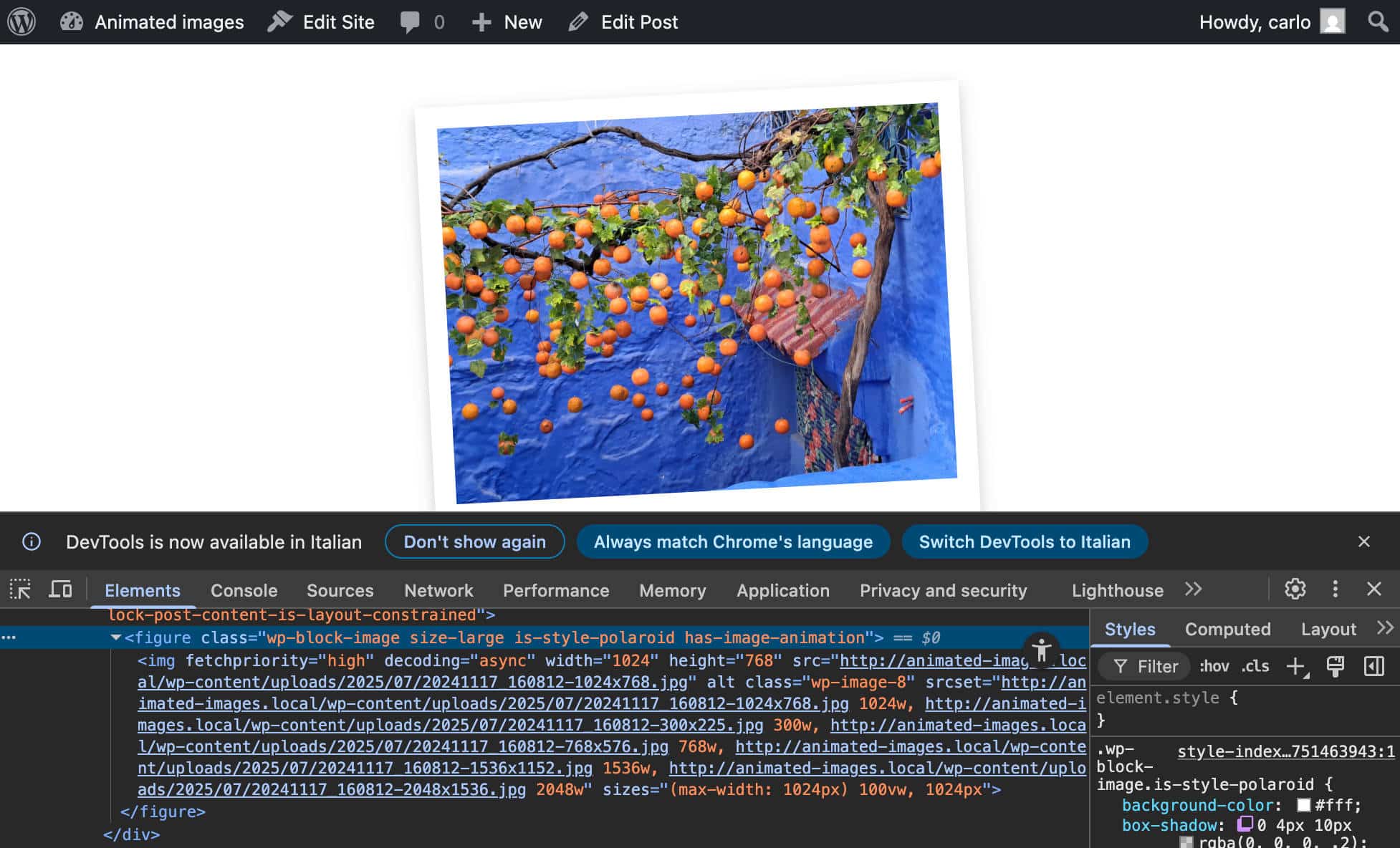 is_style_polaroid e has_image_animation Classes CSS adicionadas ao bloco Image.