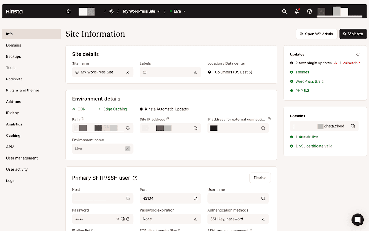 O painel do MyKinsta exibindo informações de um único site.