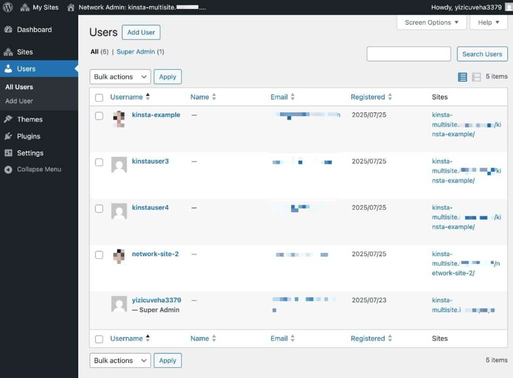 Ein Screenshot vom Benutzerverwaltungsbildschirm in WordPress Multisite.