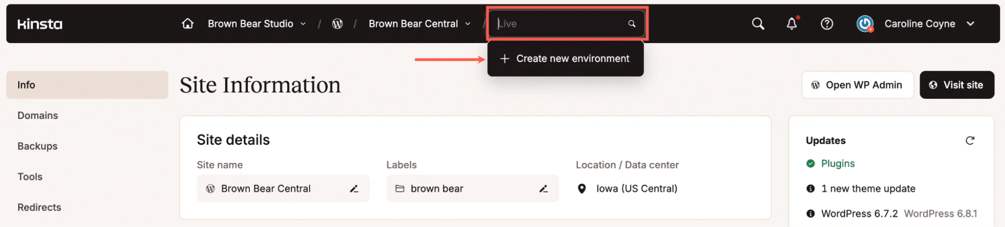 Staging environment in MyKinsta