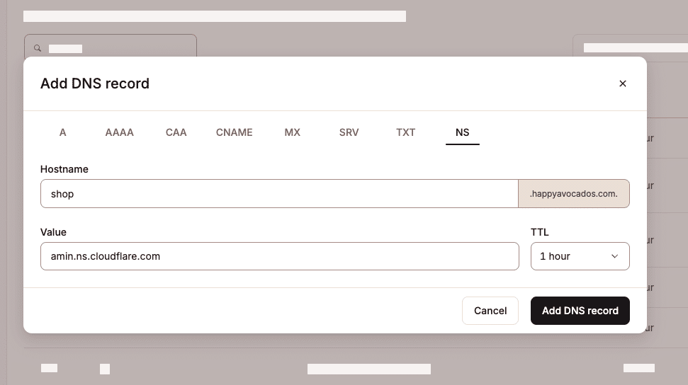 Formulario para añadir un nuevo registro NS en la configuración DNS de MyKinsta.
