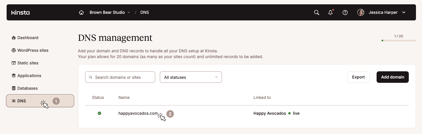 Accediendo a la sección de gestión de DNS en el panel de MyKinsta.