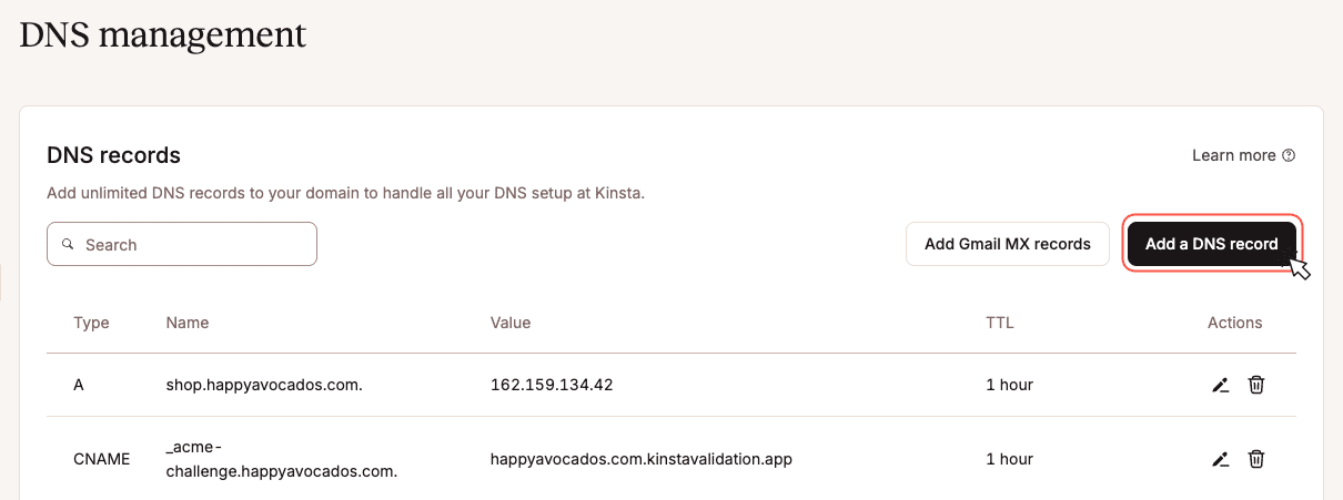 Resumen de registros DNS en MyKinsta que muestra las entradas existentes.