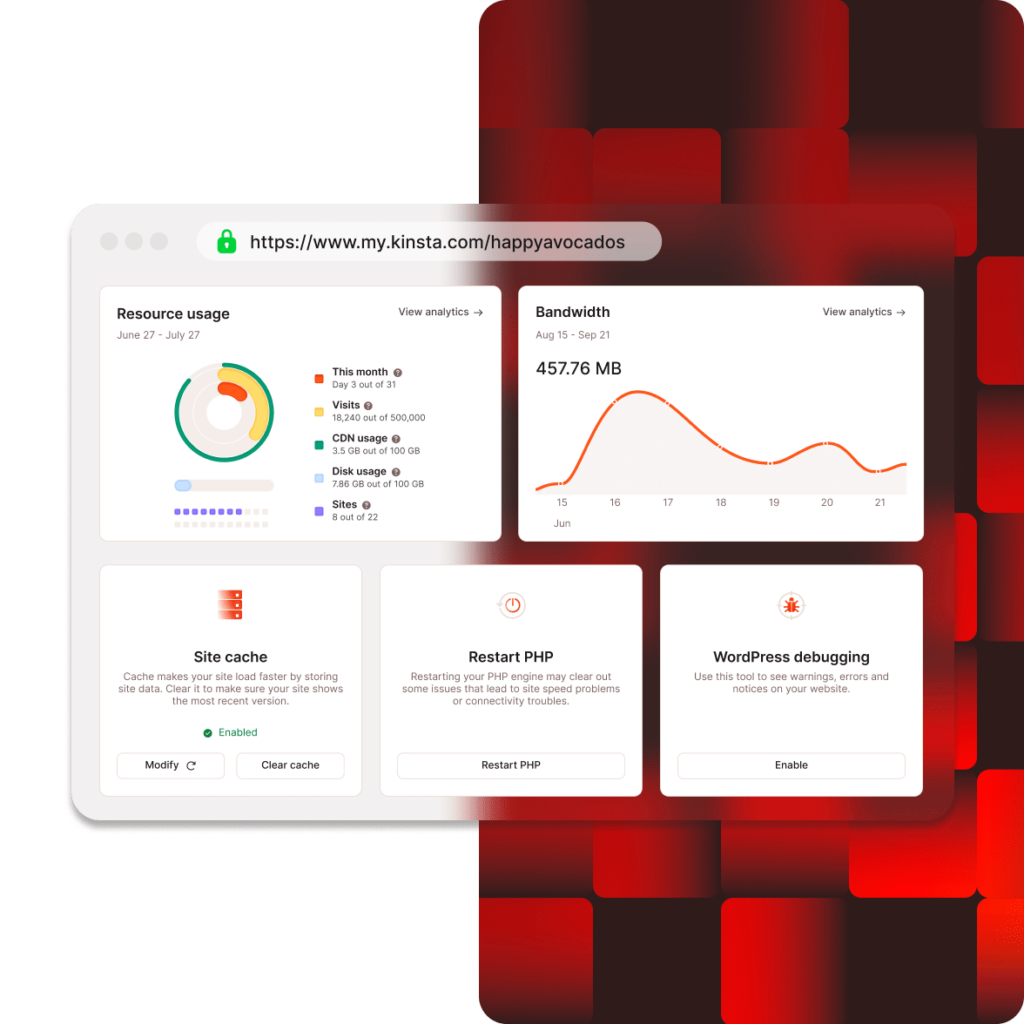 The MyKinsta dashboard