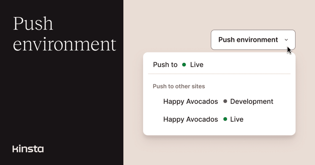 An image showing a screenshot of the Push Environment interface in the MyKinsta dashboard.
