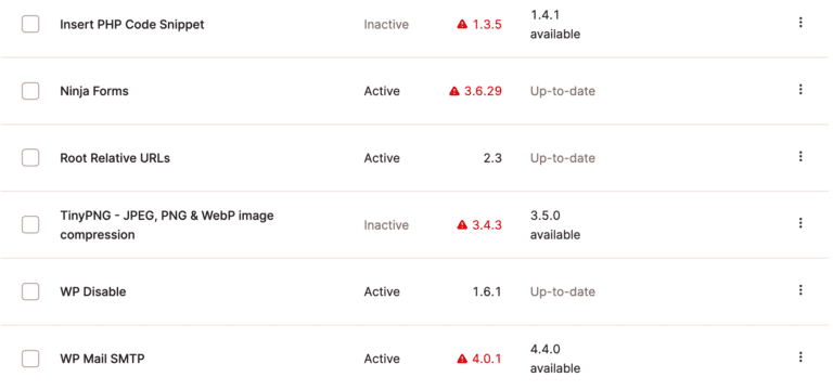 Automatische Updates bei Kinsta