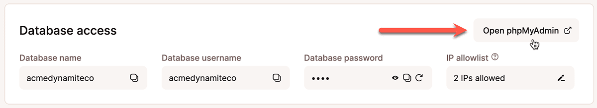 Ein Screenshot, der den Bereich „WordPress-Datenbankzugriff“ im MyKinsta-Dashboard zeigt.