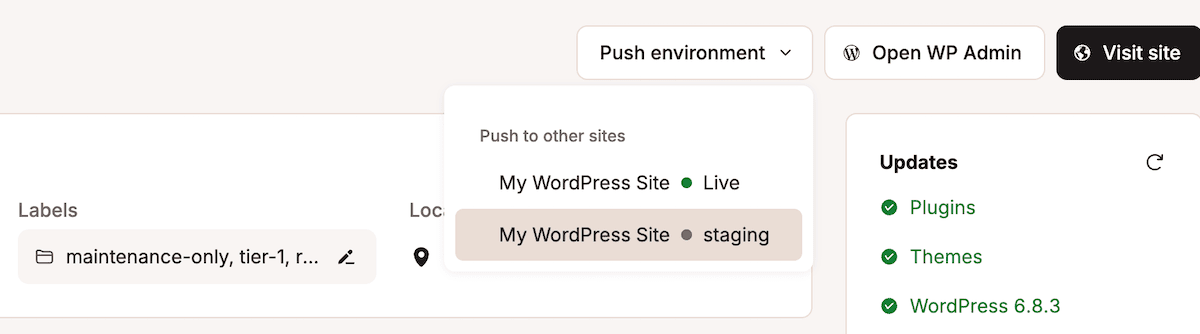 L'interface de l'environnement de staging MyKinsta montrant les détails de l'environnement.