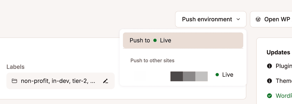 El menú desplegable de enviar entorno para un sitio dentro del panel de control de MyKinsta. Muestra dos opciones: Enviar a Producción o seleccionar enviar a otros sitios.