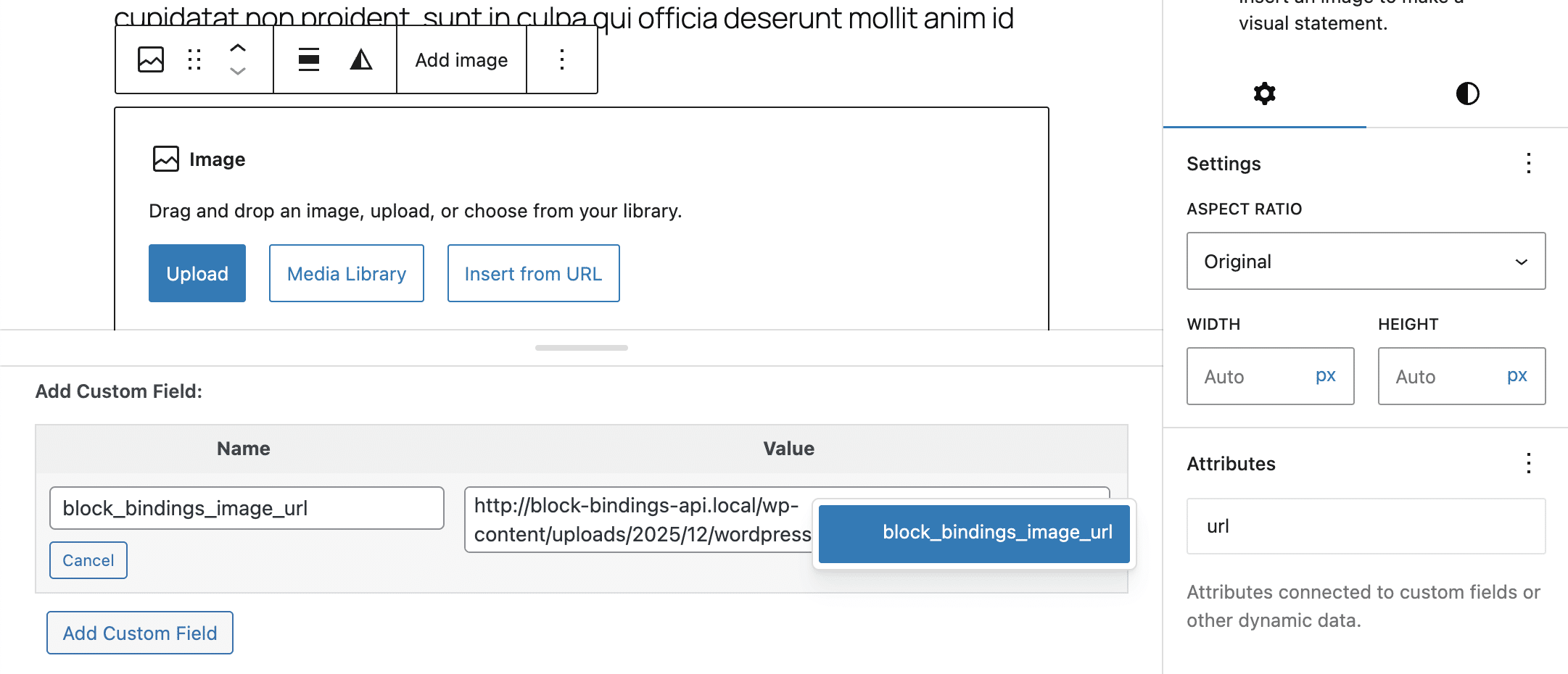 A screenshot showing a custom field and the Block Bindings UI.