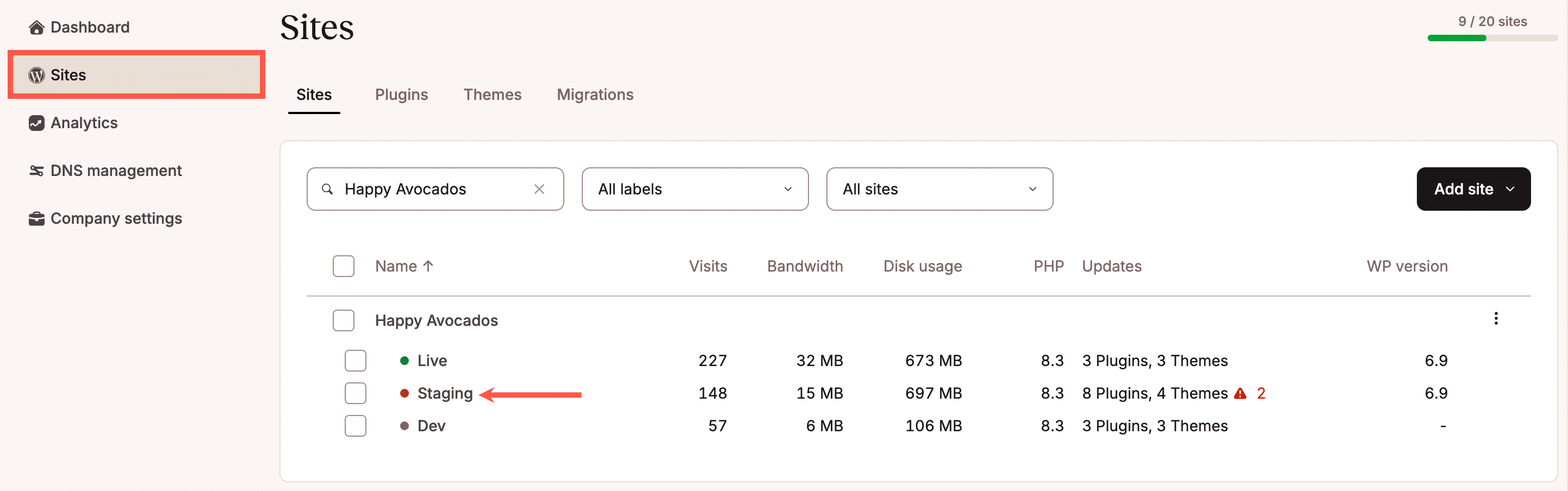 L'ambiente di staging WordPress di Kinsta