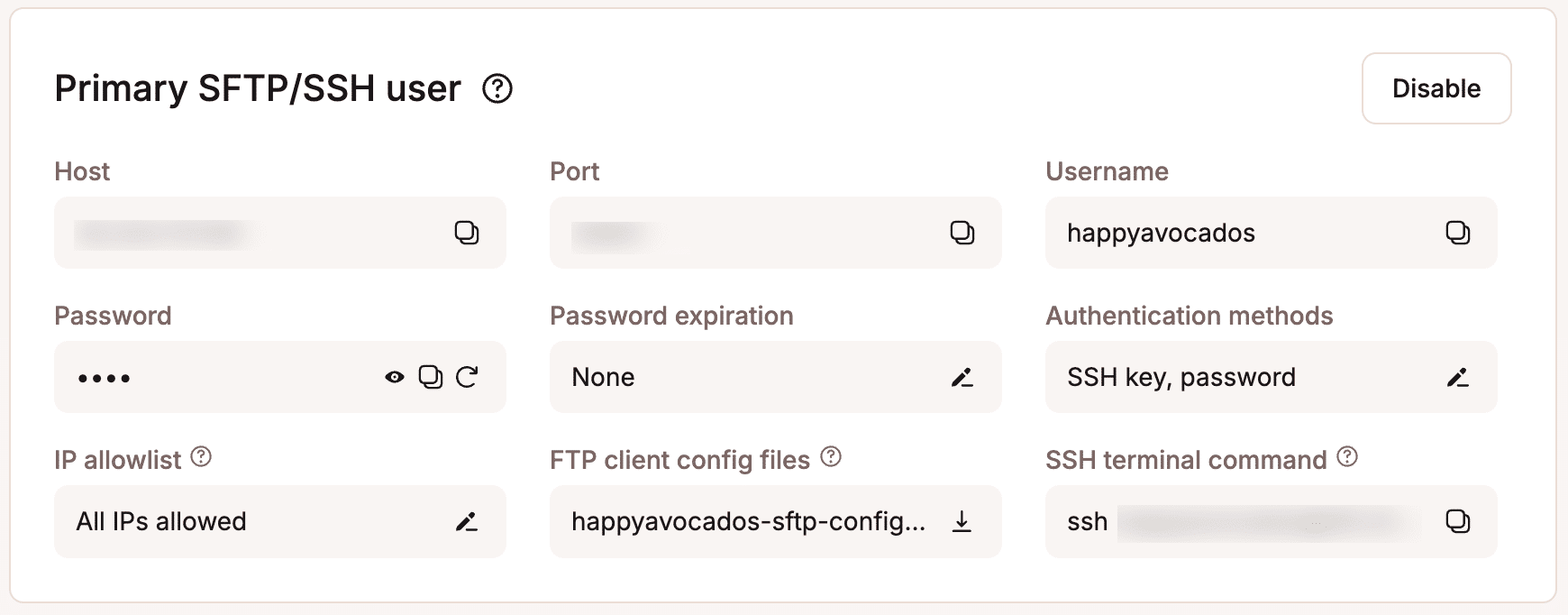 Primary SFTP/SSH user details in MyKinsta