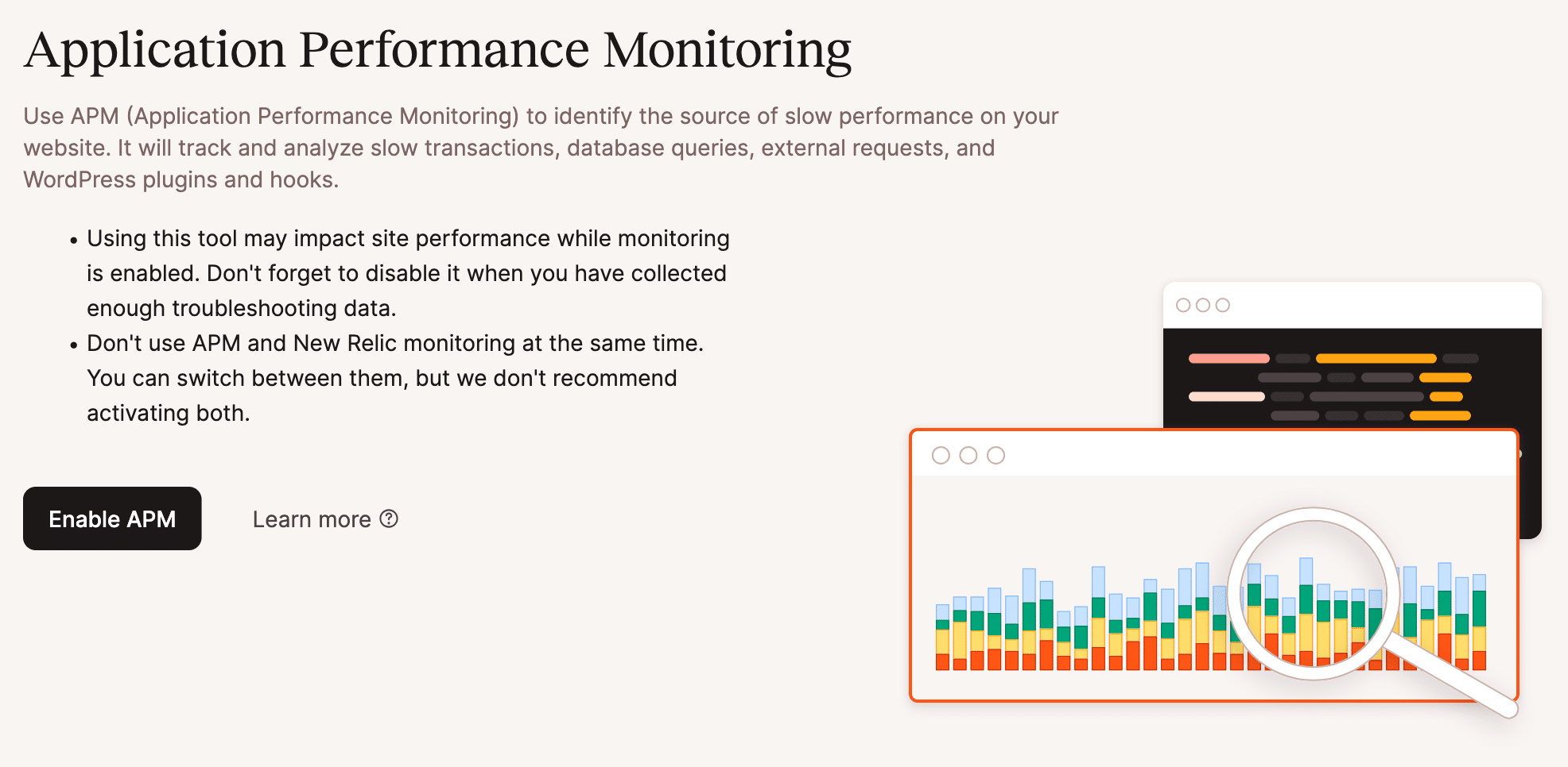 A screenshot sowing the landing page of the APM took in MyKinsta.