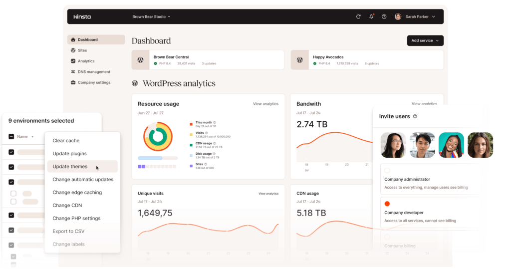 MyKinsta highlights