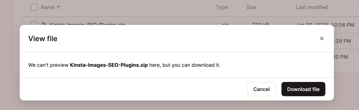 Uno screenshot che mostra la richiesta di scaricare un file binario nel file manager di MyKinsta.