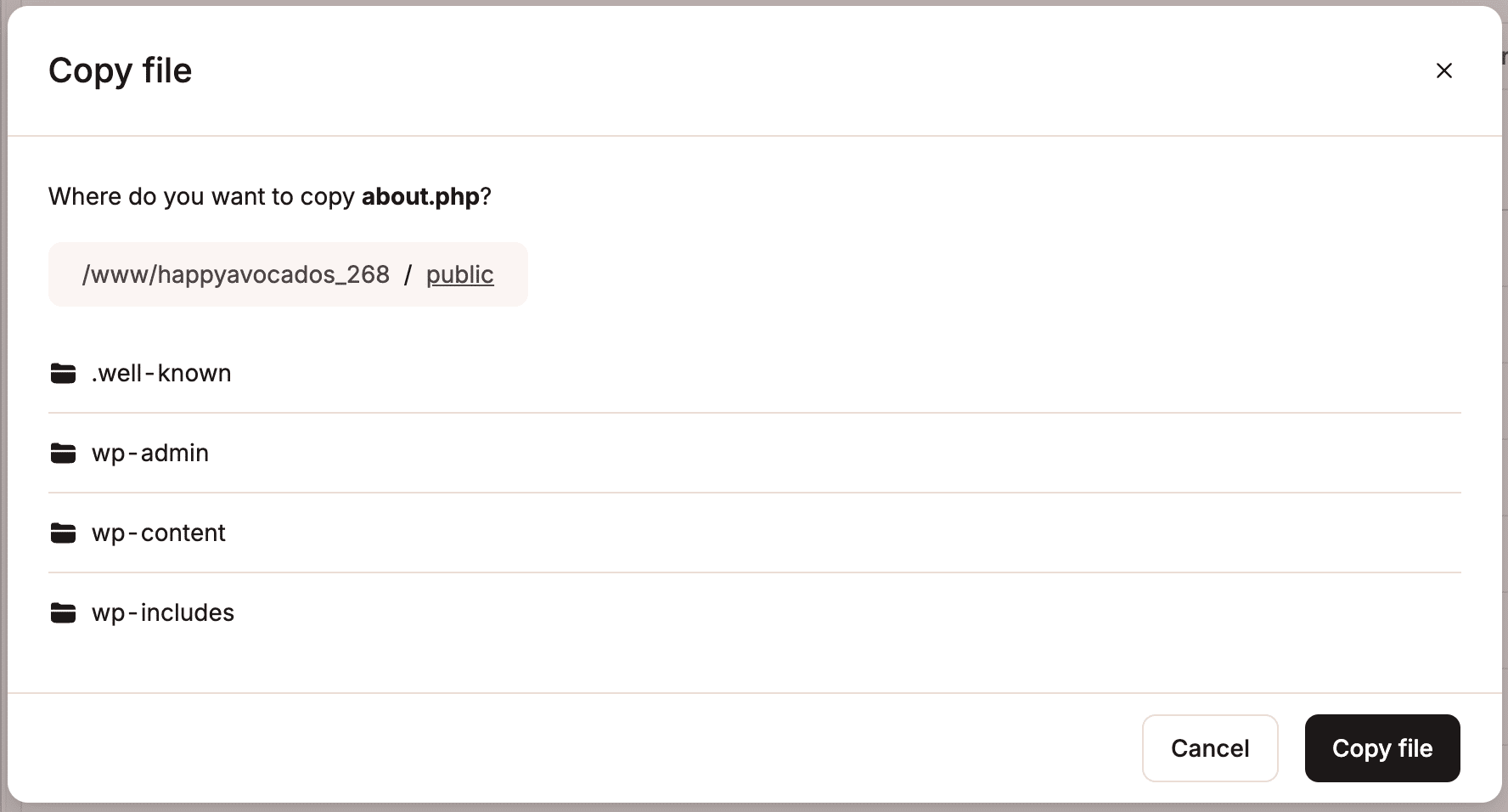 Uno screenshot che mostra la finestra di dialogo che appare durante la copia di un file nel file manager di MyKinsta.