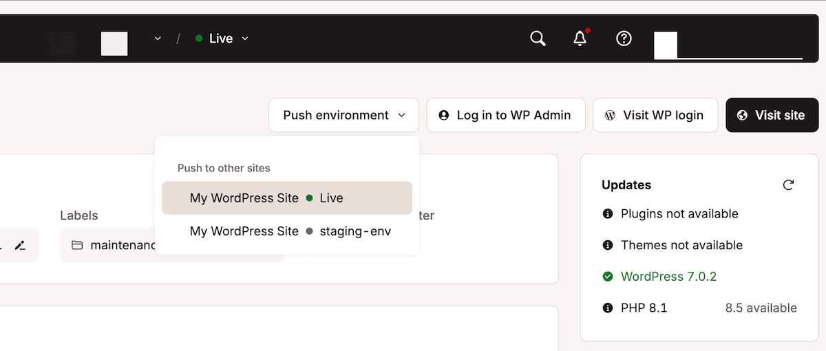 De Selective Push interface in MyKinsta met opties om naar een andere omgeving te pushen, naast andere informatie over een WordPress site.