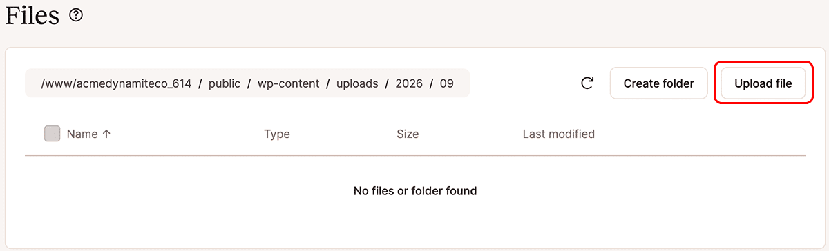 A screenshot of the MyKinsta file manager interface with the Upload File button highlighted.